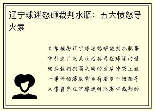 辽宁球迷怒砸裁判水瓶：五大愤怒导火索