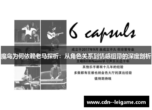 魔鸟为何依赖老马探析:从角色关系到情感纽带的深度剖析 魔鸟为何依赖老马探析:从角色关系到情感纽带的深度剖析
